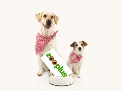 Unsere Zooplus Hundefutter Analyse